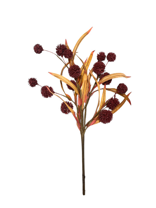 Mc60-Pom Pom bush