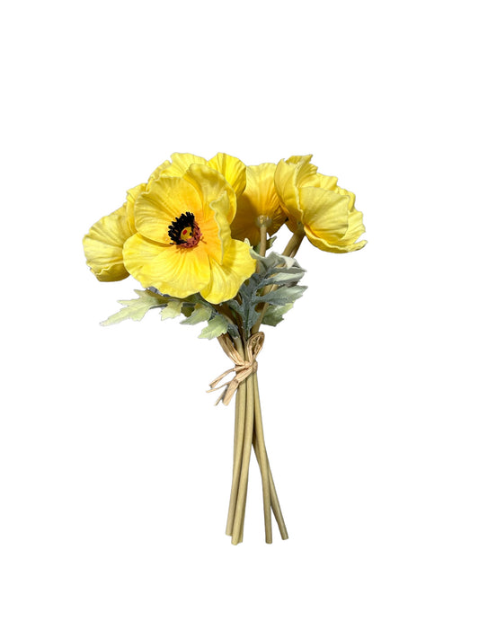 CMC966YE - Anemone Bundle