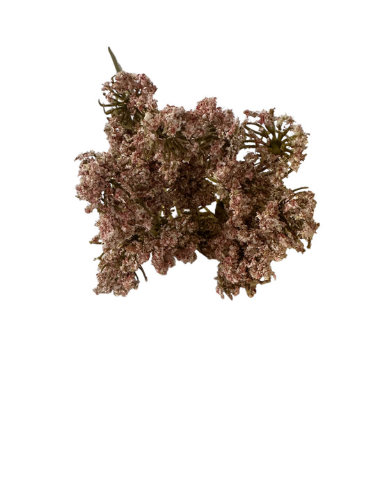 FL0259- Queen Anne’s Lace