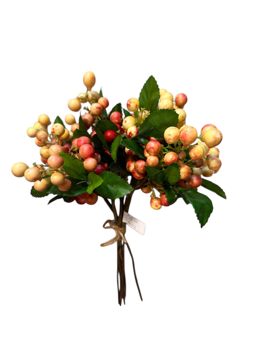 Fl02-Berry Stem