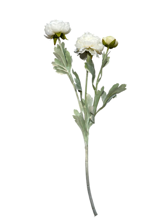 FL8399W-Ranunculus Stem