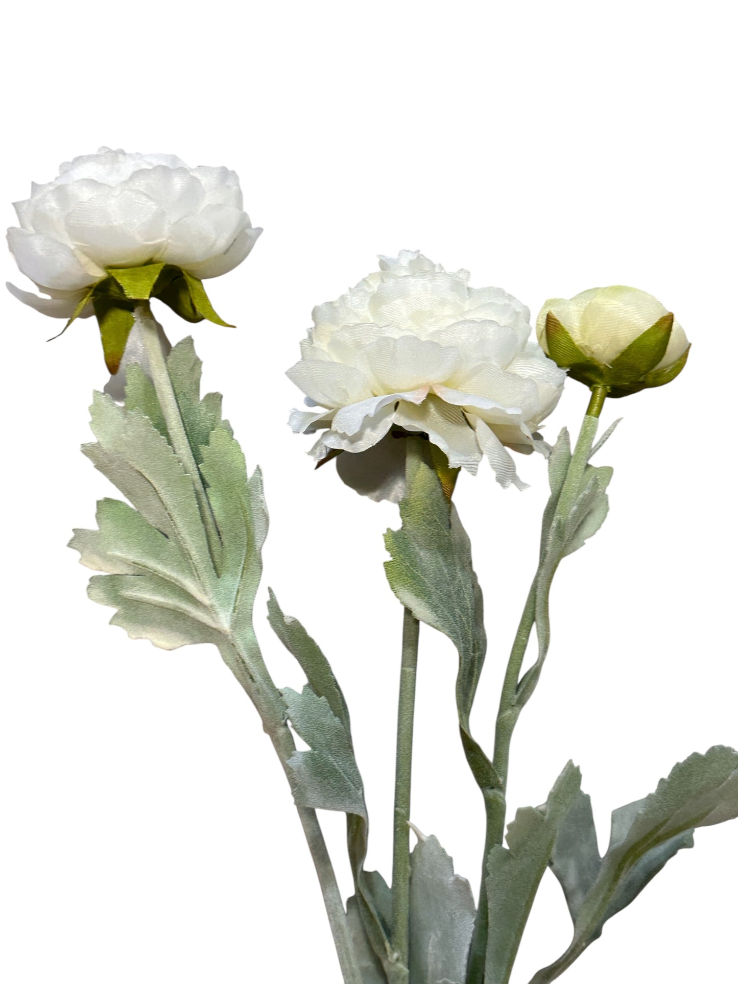 FL8399W-Ranunculus Stem