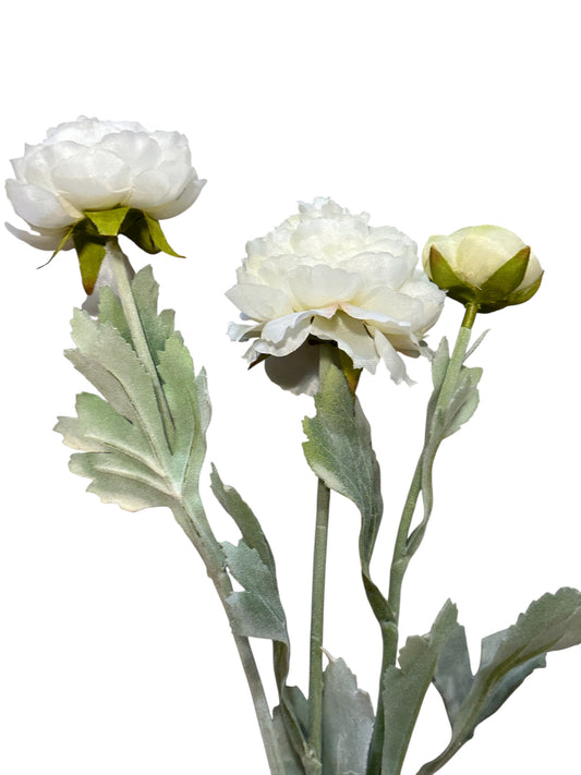 FL8399W-Ranunculus Stem