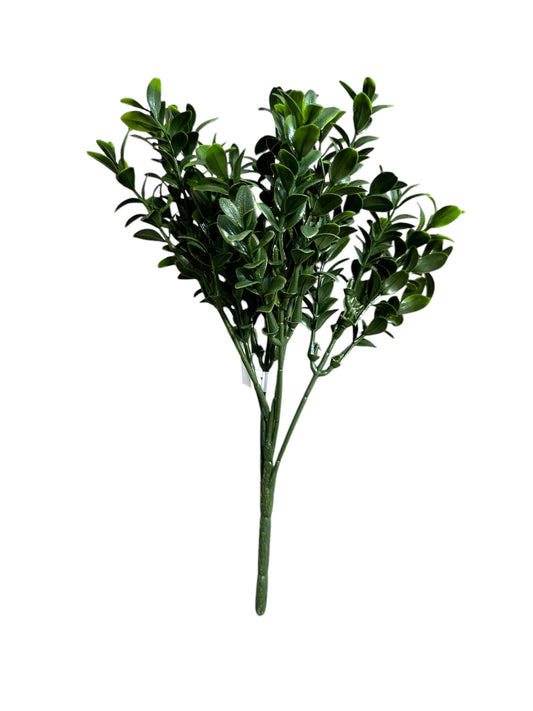 CMC413-boxwood