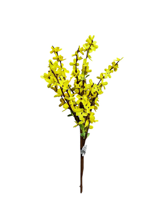 Cmc214-Forsythia spray