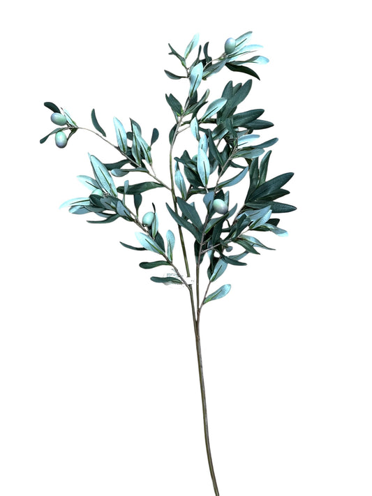 CMC353-Olive Branch