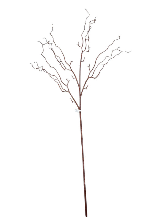 P0311-Willow branch