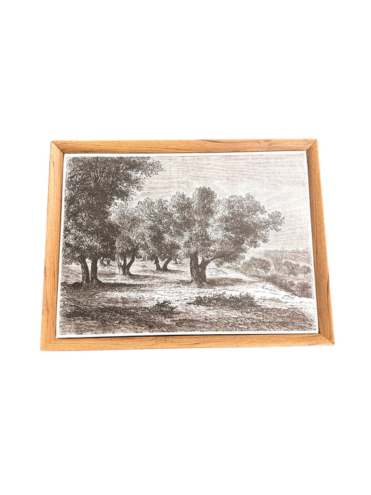 P0177- Wall Art / Olive Trees