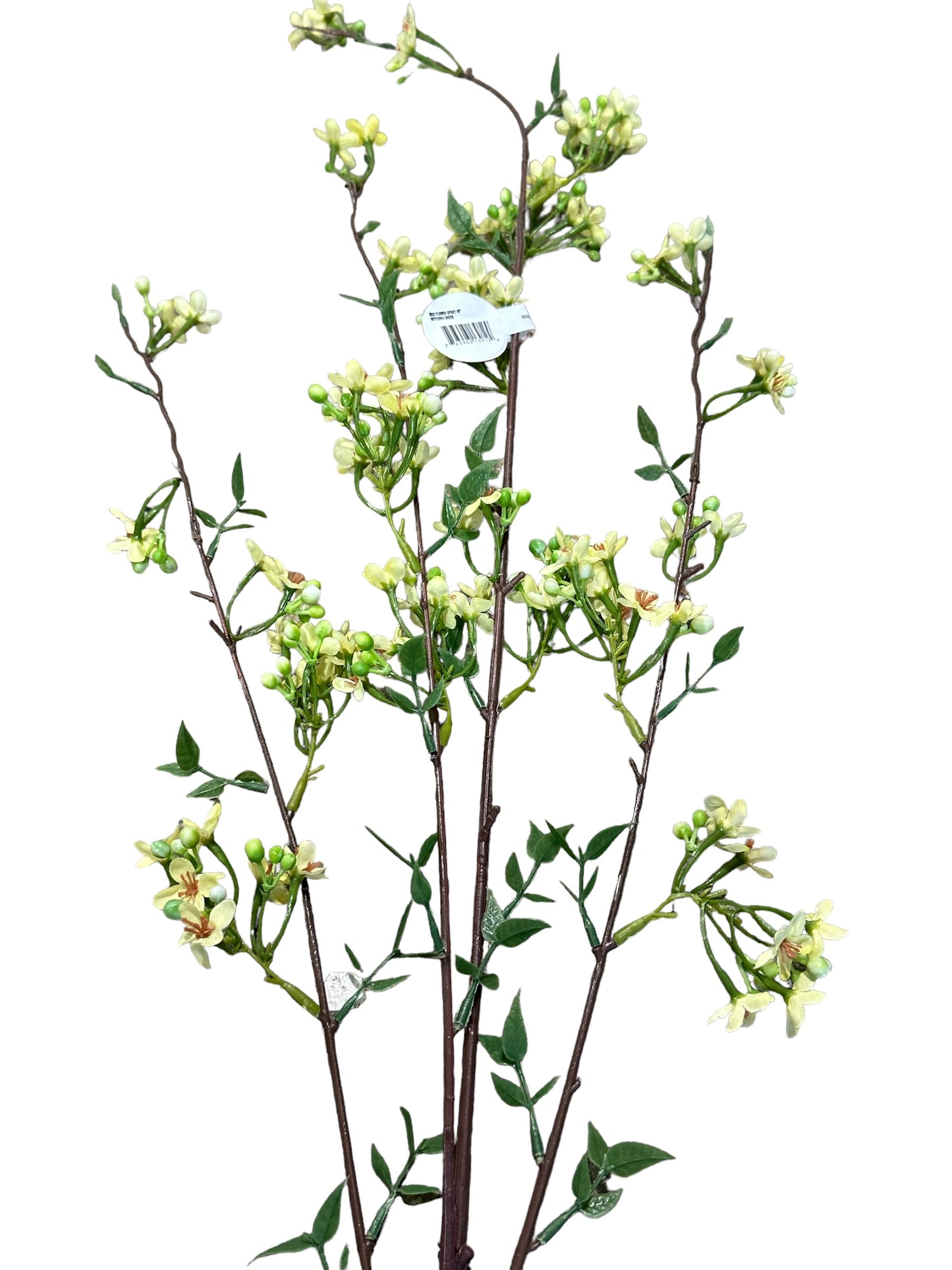 CMC333  Wax Flower Spray