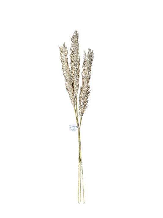 P0893-grass bouquet