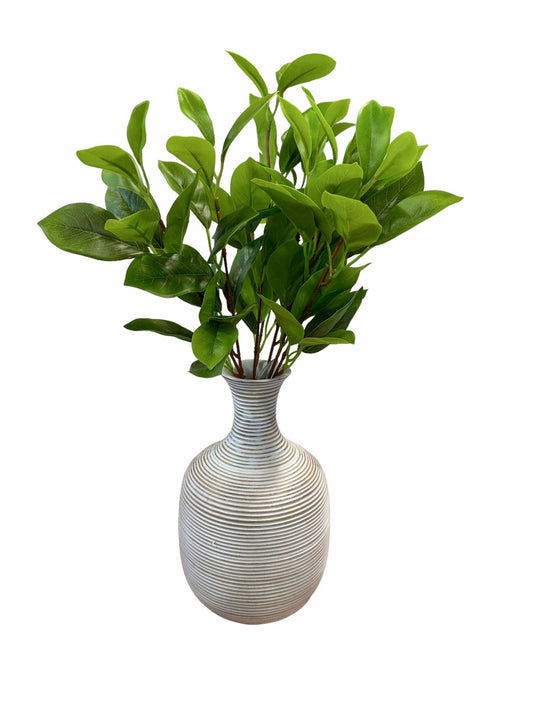 CMC963GR - Laurel leaf bush