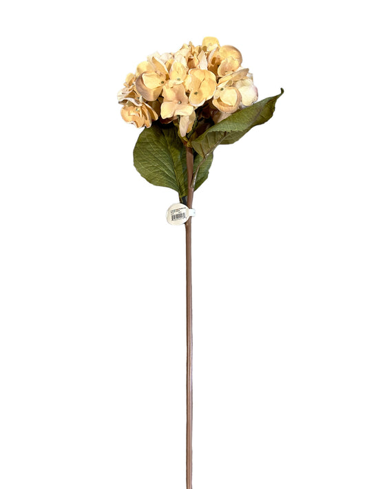CMC265BE - Hydrangea Stem / Cream