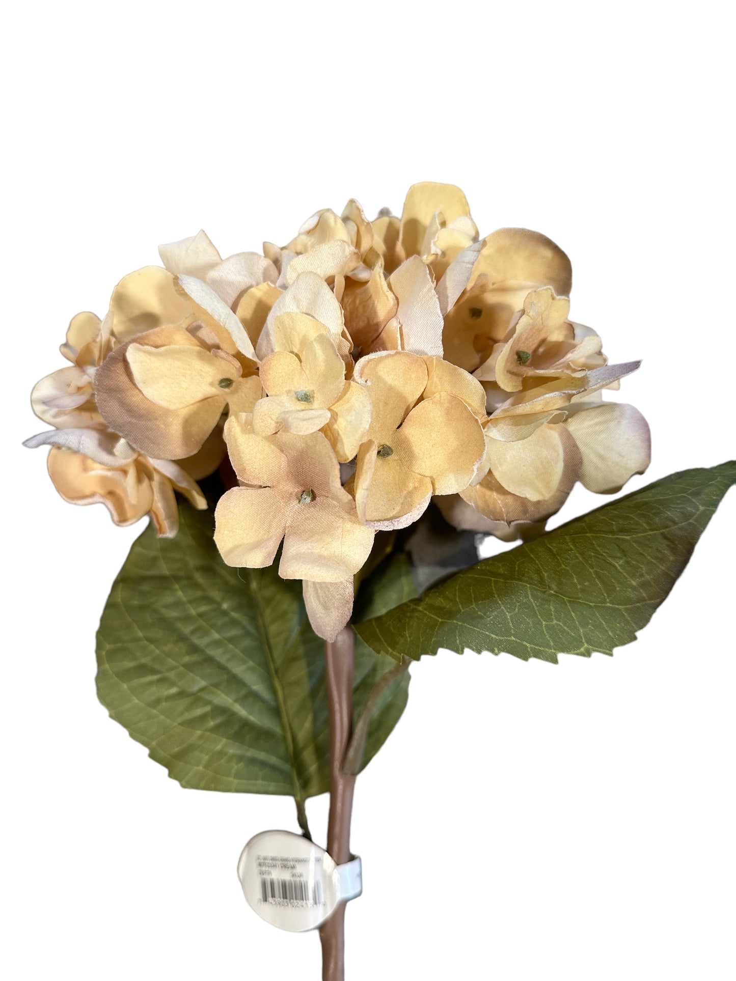 CMC265BE - Hydrangea Stem / Cream