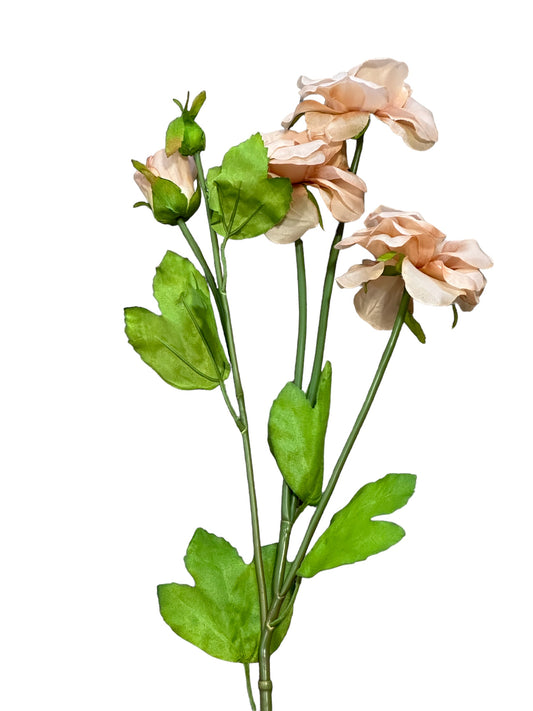 CMC613 -Butterfly Ranunculus spray / Apricot