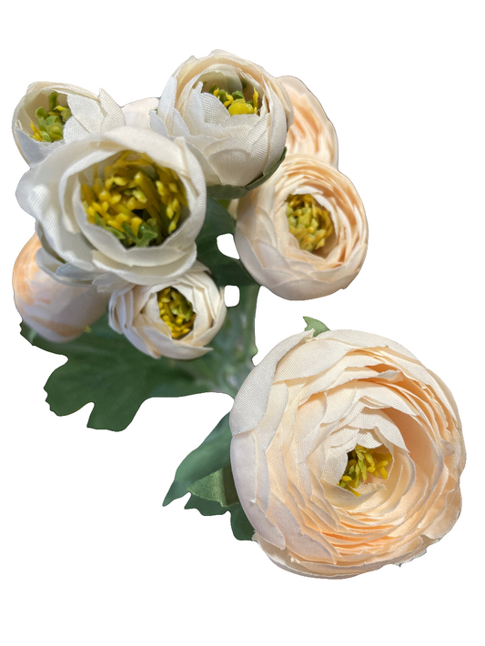 CMC195 Ranaculus - Blush