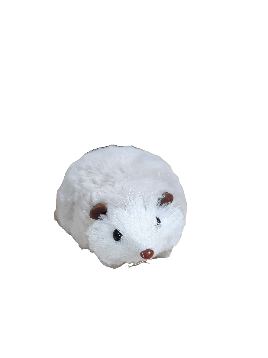 GRO4267 Hedgehog