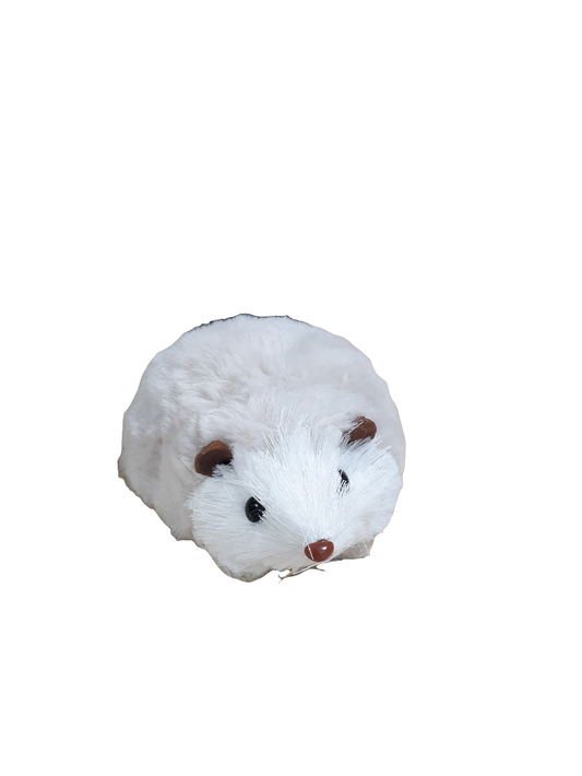 GRO4267 Hedgehog