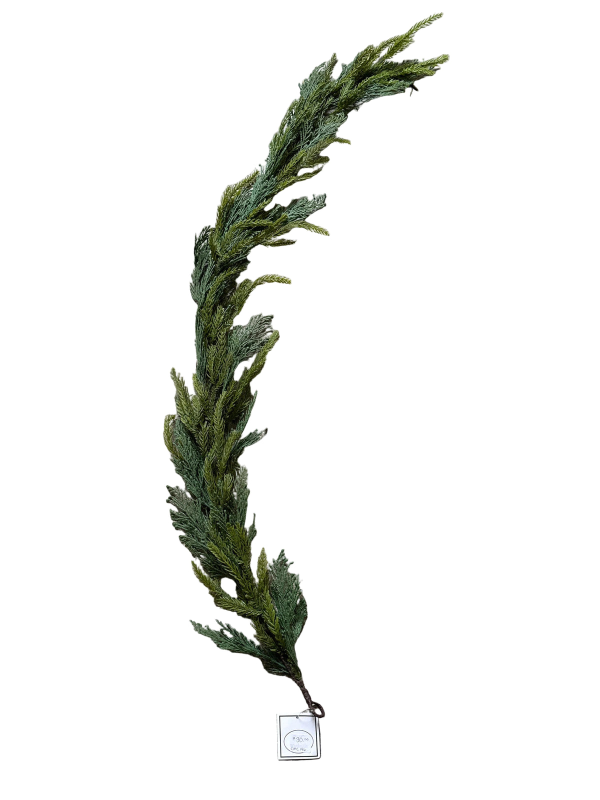 CMC146 Garland/ 48”