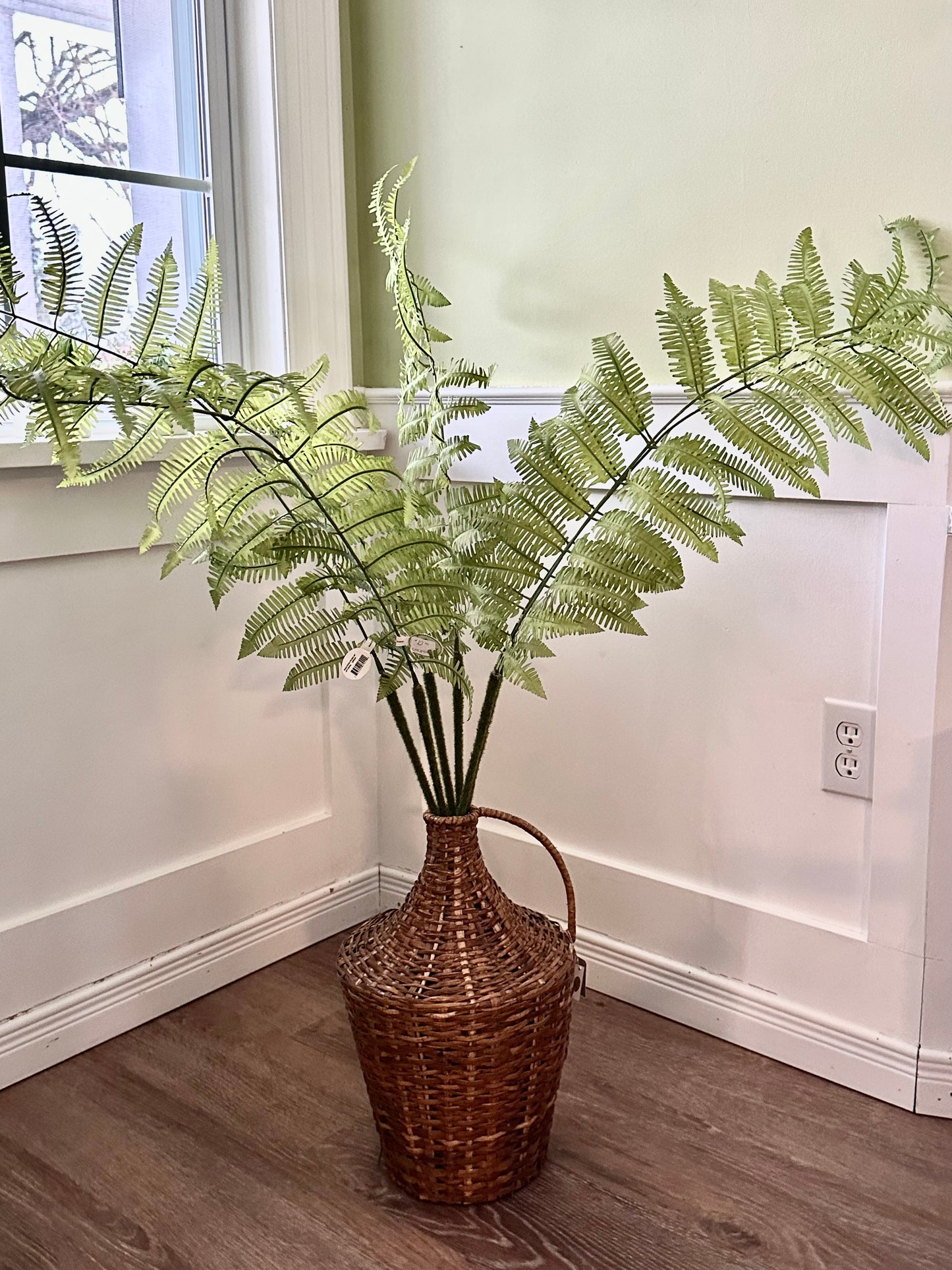 CMC891GR Fern